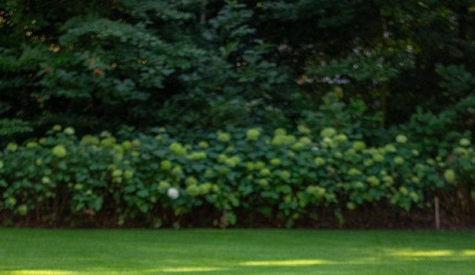 機器人無線充電使用的情況如何？