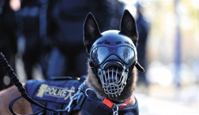 人工嗅覺—服務機器人的鼻子（無線充電）