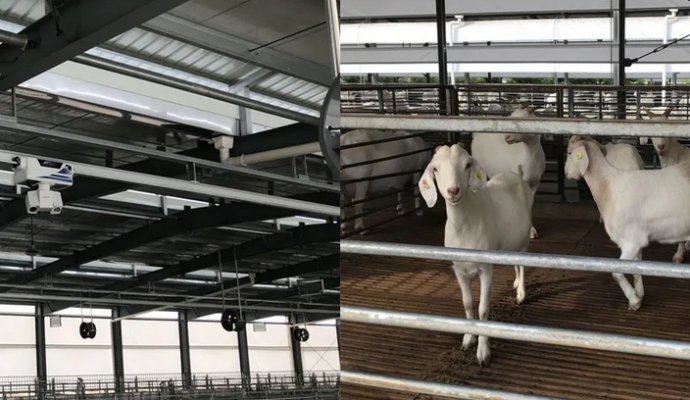 智慧生態(tài)養(yǎng)豬廠 智能軌道巡檢機(jī)器人（無(wú)線充電）