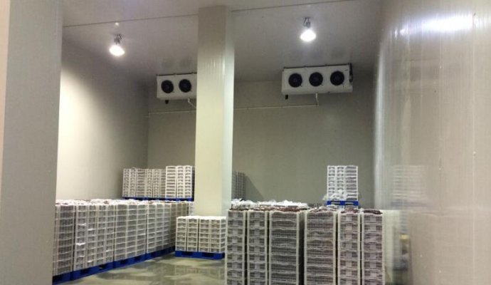 魯渝能源AGV無線充電系統在冷鏈冷庫運輸的新應用（無線充電）